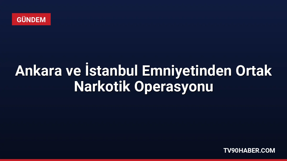 Van'dan İstanbul'a kargo yoluyla gönderilen 109 kilo 300 gram eroin,