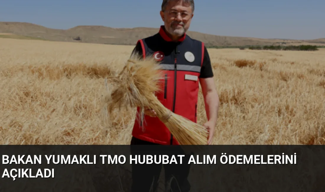 Tarım ve Orman Bakanı İbrahim Yumaklı, TMO'nun hububat alımları kapsamında