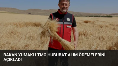 Tarım ve Orman Bakanı İbrahim Yumaklı, TMO'nun hububat alımları kapsamında
