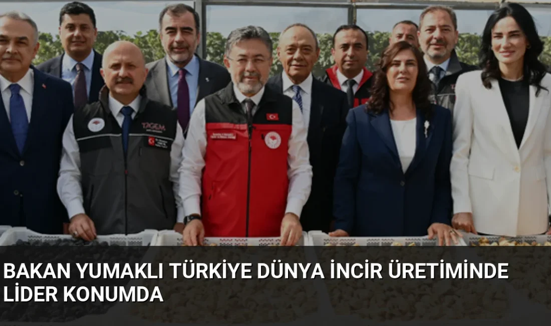 Tarım ve Orman Bakanı İbrahim Yumaklı, Türkiye'nin dünya incir üretiminde