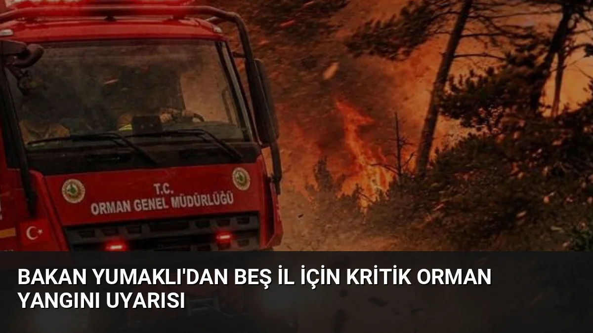 Bakan İbrahim Yumaklı, şiddetli rüzgar nedeniyle 5 il için orman