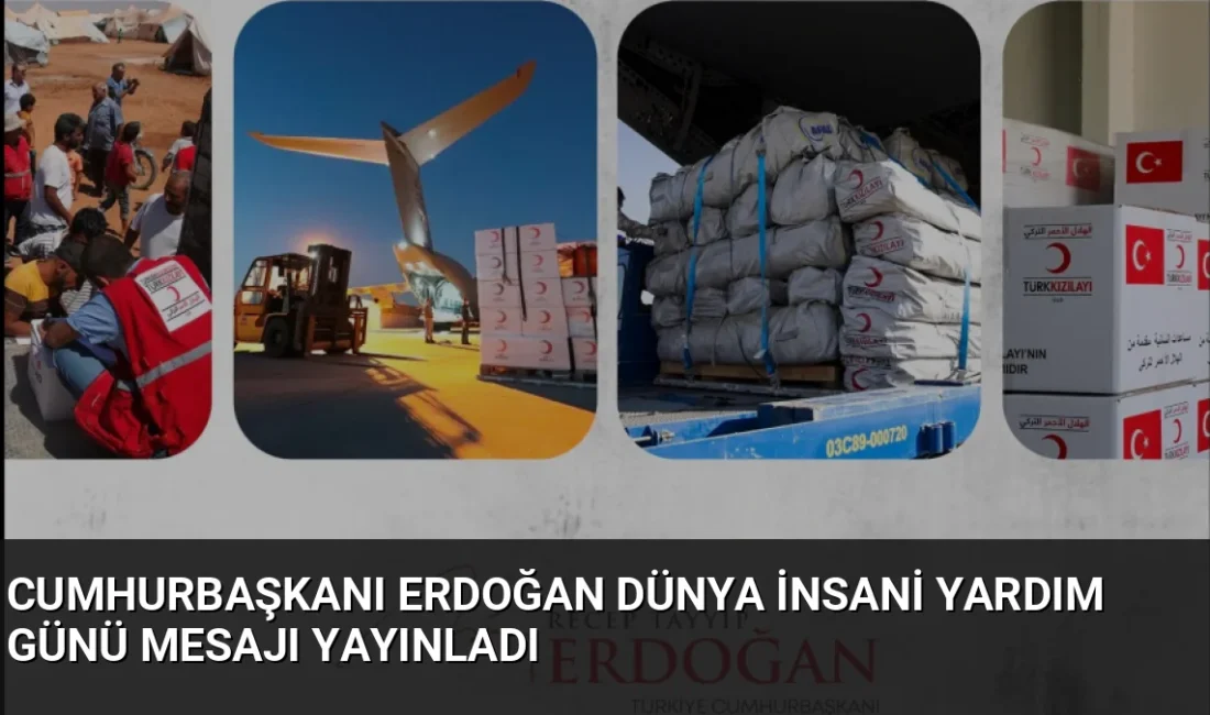 Cumhurbaşkanı Erdoğan, Dünya İnsani Yardım Günü mesajında Türkiye'nin milli gelire