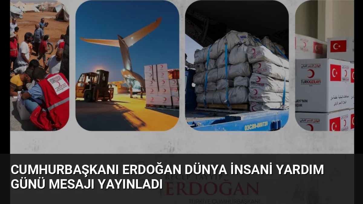 Cumhurbaşkanı Erdoğan, Dünya İnsani Yardım Günü mesajında Türkiye'nin milli gelire
