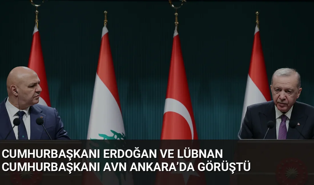 Cumhurbaşkanı Erdoğan, Lübnan Cumhurbaşkanı Avn ile yaptığı görüşmede Lübnan'ın toprak