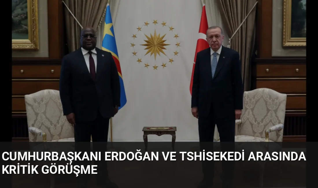 Cumhurbaşkanı Erdoğan, Kongo Demokratik Cumhuriyeti Cumhurbaşkanı Tshisekedi ile görüşerek ikili