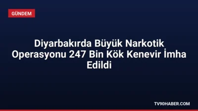 Diyarbakır'da jandarma ekiplerinin düzenlediği operasyonda 247 bin 145 kök kenevir