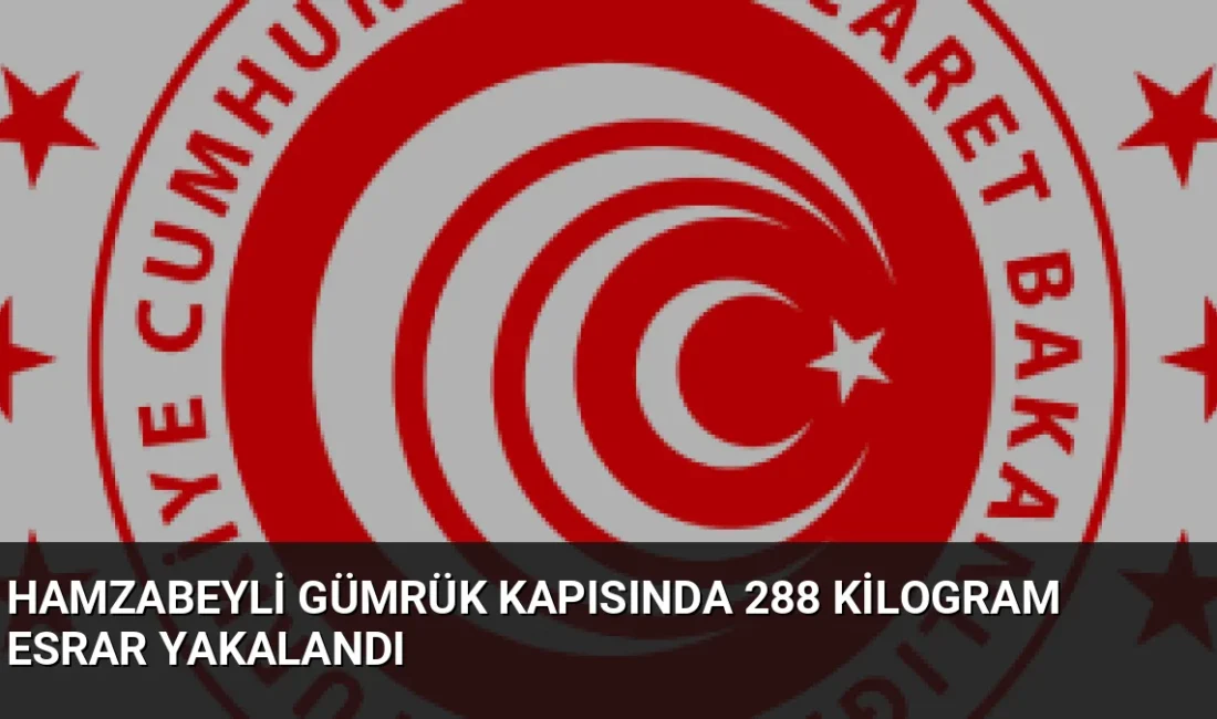 Edirne Hamzabeyli Gümrük Kapısı'nda düzenlenen operasyonda yaklaşık 288 kilogram esrar
