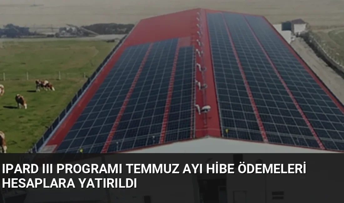 Tarım ve Orman Bakanlığı, IPARD III Programı kapsamında temmuz ayında