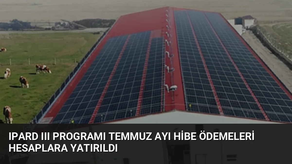 Tarım ve Orman Bakanlığı, IPARD III Programı kapsamında temmuz ayında