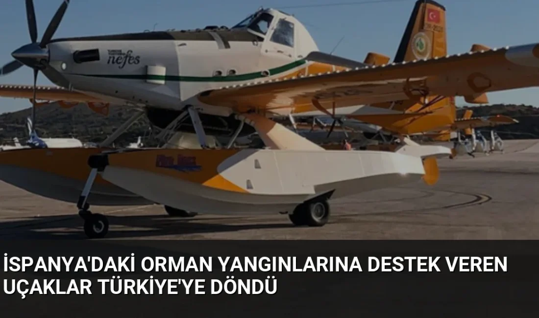 İspanya'daki orman yangınlarıyla mücadeleye destek sağlayan iki Türk yangın söndürme