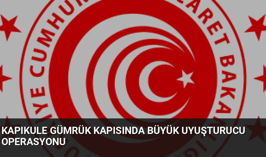 Edirne Kapıkule Gümrük Kapısı'nda bir TIR aracına yapılan operasyonda 810
