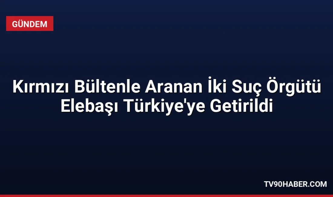 Kırmızı bültenle aranan iki organize suç örgütü lideri ve 5