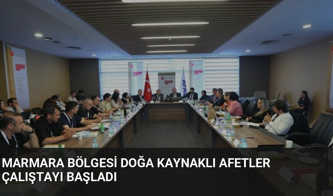 Cumhurbaşkanlığı Yerel Yönetim ve Afet Politikaları Kurulu, Marmara Bölgesi'ndeki afet