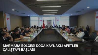 Cumhurbaşkanlığı Yerel Yönetim ve Afet Politikaları Kurulu, Marmara Bölgesi'ndeki afet