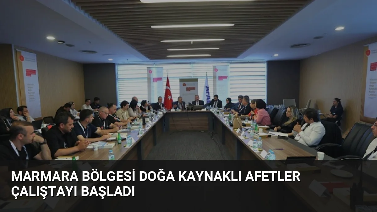 Cumhurbaşkanlığı Yerel Yönetim ve Afet Politikaları Kurulu, Marmara Bölgesi'ndeki afet