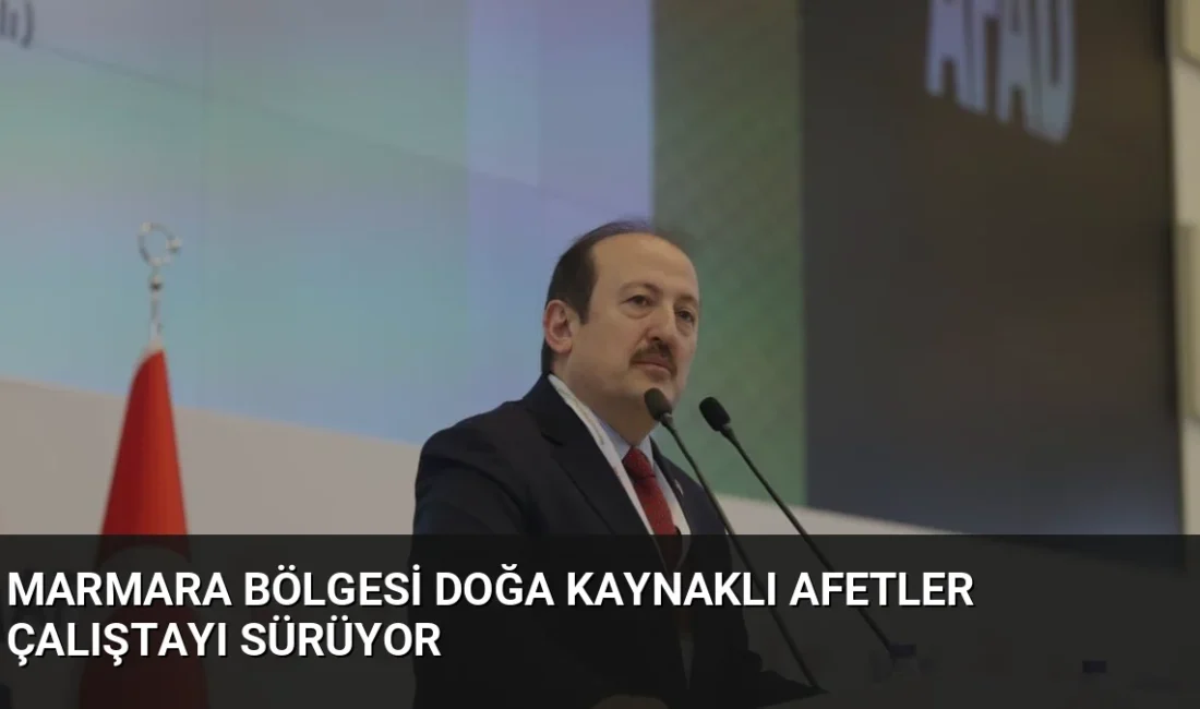 Marmara Bölgesi Doğa Kaynaklı Afetler Çalıştayı'nda afet yönetimi ve hukuki
