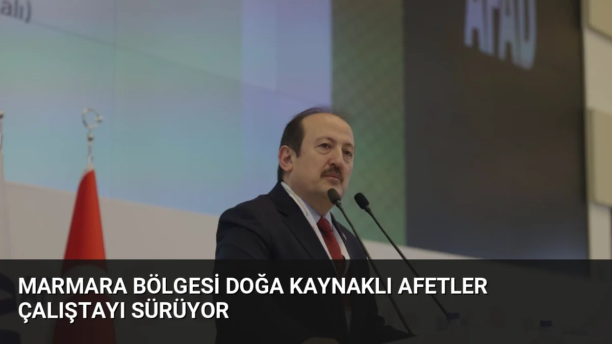Marmara Bölgesi Doğa Kaynaklı Afetler Çalıştayı'nda afet yönetimi ve hukuki