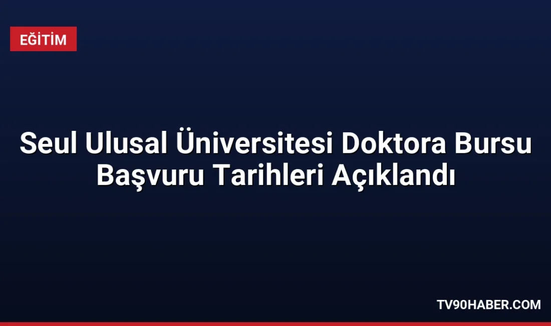 Seul Ulusal Üniversitesi, gelişmekte olan ülkelerdeki öğretim üyelerine yönelik doktora