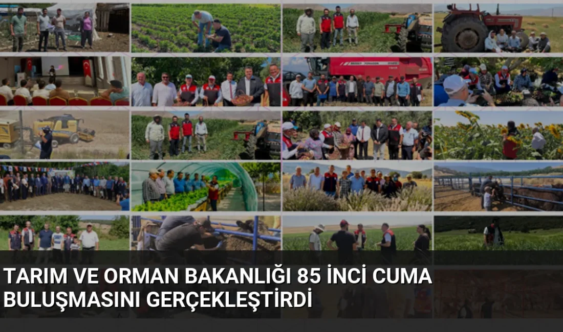 Tarım ve Orman Bakanlığı 85. Cuma Buluşması'nda üretim planlaması, yeni