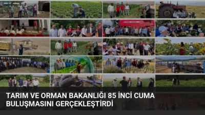 Tarım ve Orman Bakanlığı 85. Cuma Buluşması'nda üretim planlaması, yeni