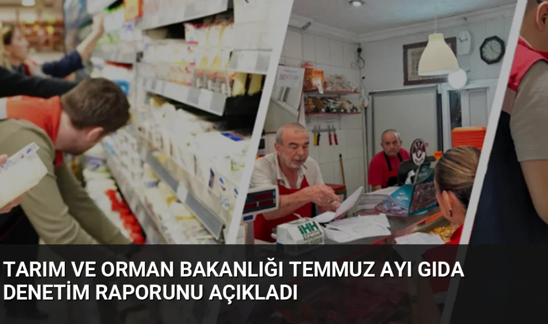 Tarım ve Orman Bakanlığı, Temmuz ayında 107 binin üzerinde gıda
