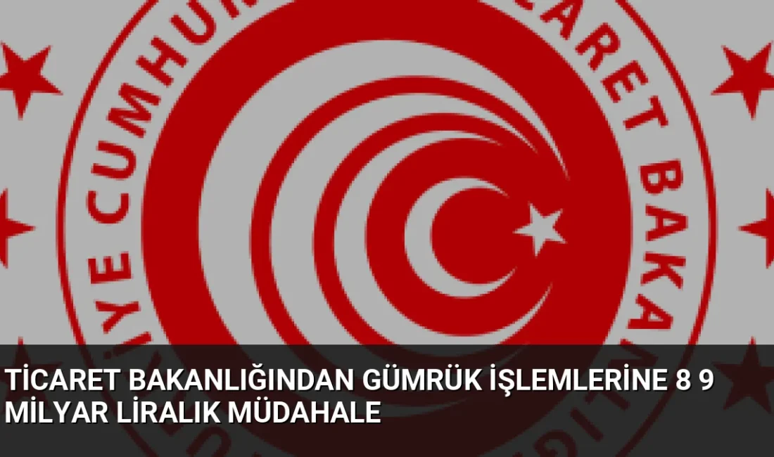 Ticaret Bakanlığı 2026'nın ilk 7 ayında gümrük denetimlerini artırdı. Toplam
