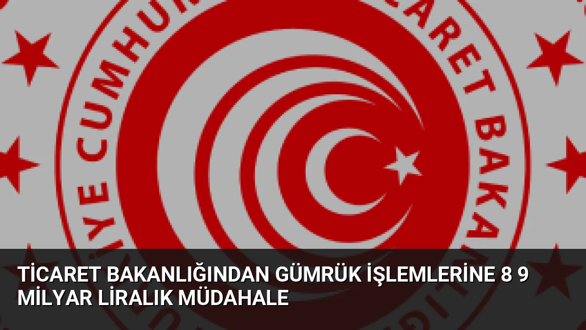 Ticaret Bakanlığı 2026'nın ilk 7 ayında gümrük denetimlerini artırdı. Toplam
