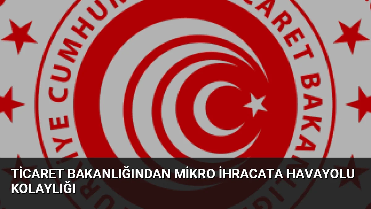 Ticaret Bakanlığı, mikro ihracat kargolarının havayolu transit süreçlerini kolaylaştıran yeni