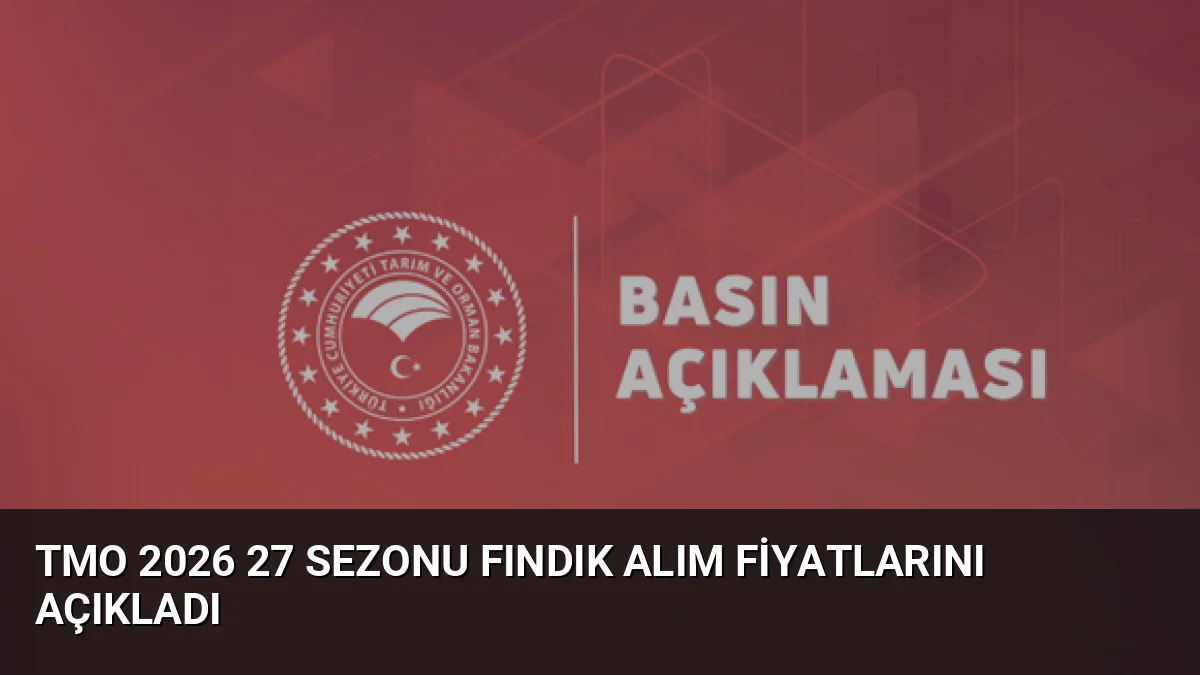 TMO, 2026/27 sezonu fındık alım fiyatlarını belirledi. Giresun kalite 255