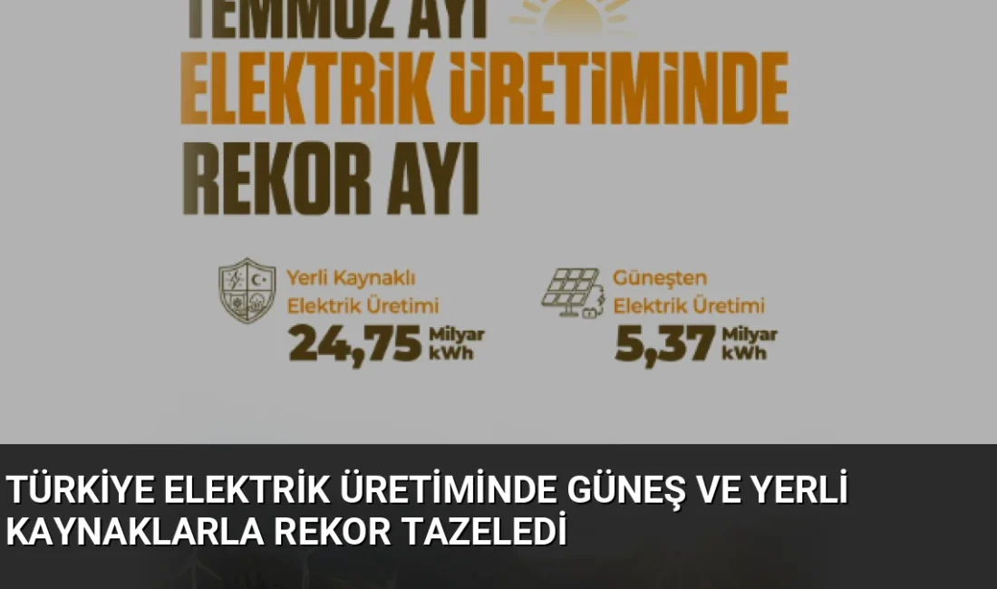 Türkiye temmuz ayında güneş ve yerli kaynaklardan elektrik üretiminde tüm