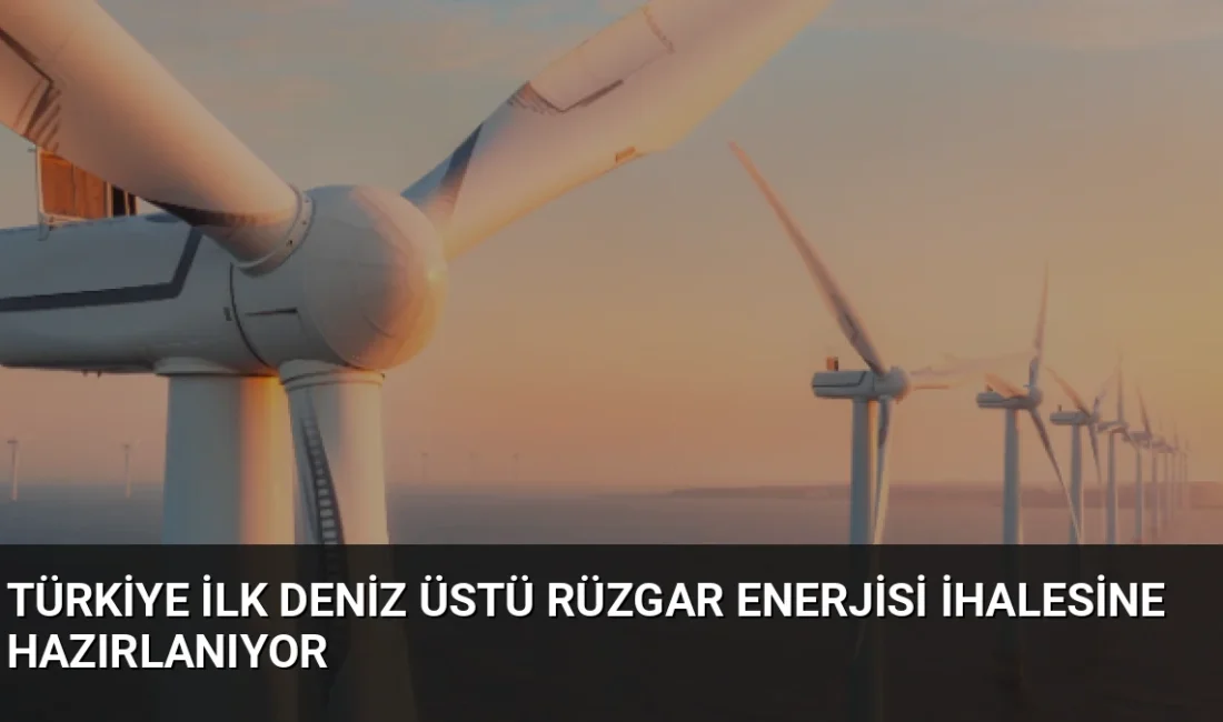 Enerji ve Tabii Kaynaklar Bakanlığı, dört bölgede deniz üstü rüzgar