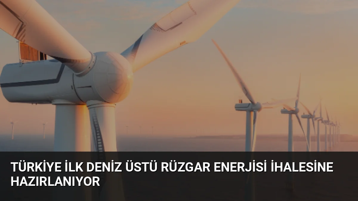 Enerji ve Tabii Kaynaklar Bakanlığı, dört bölgede deniz üstü rüzgar