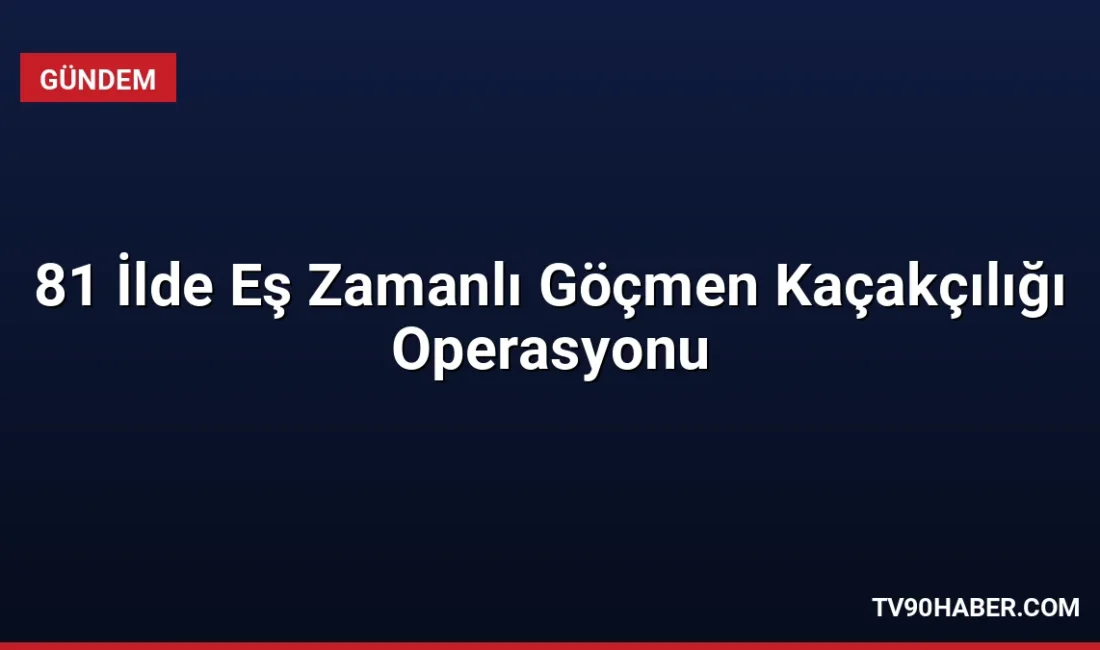 Türkiye genelinde 81 ilde düzenlenen göçmen kaçakçılığı denetimlerinde 19 organizatör