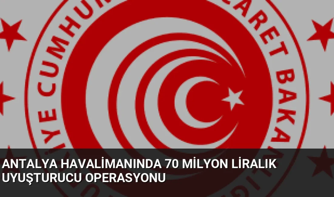 Antalya Havalimanı'na giriş yapan iki şüphelinin valizlerinde 70 milyon TL