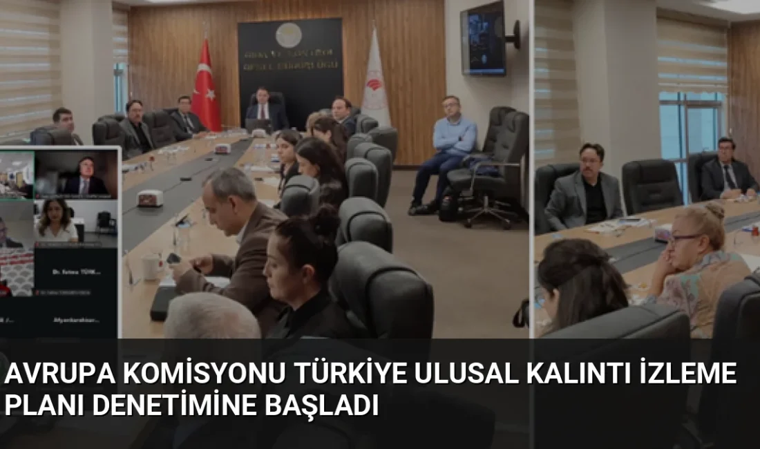 Avrupa Komisyonu, Türkiye'nin Ulusal Kalıntı İzleme Planı'nı denetlemek üzere iki