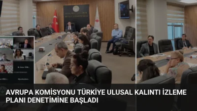 Avrupa Komisyonu, Türkiye'nin Ulusal Kalıntı İzleme Planı'nı denetlemek üzere iki