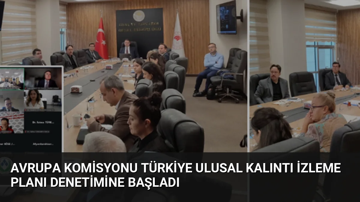 Avrupa Komisyonu, Türkiye'nin Ulusal Kalıntı İzleme Planı'nı denetlemek üzere iki