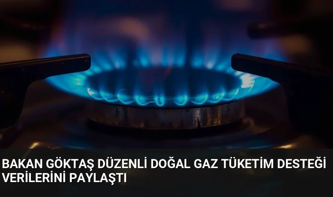 Aile ve Sosyal Hizmetler Bakanı Mahinur Özdemir Göktaş, 2026'nın ilk