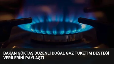 Aile ve Sosyal Hizmetler Bakanı Mahinur Özdemir Göktaş, 2026'nın ilk