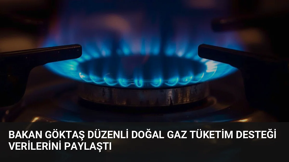 Aile ve Sosyal Hizmetler Bakanı Mahinur Özdemir Göktaş, 2026'nın ilk
