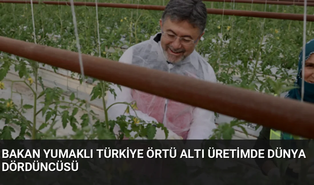 Tarım ve Orman Bakanı İbrahim Yumaklı, Türkiye'nin örtü altı üretimde