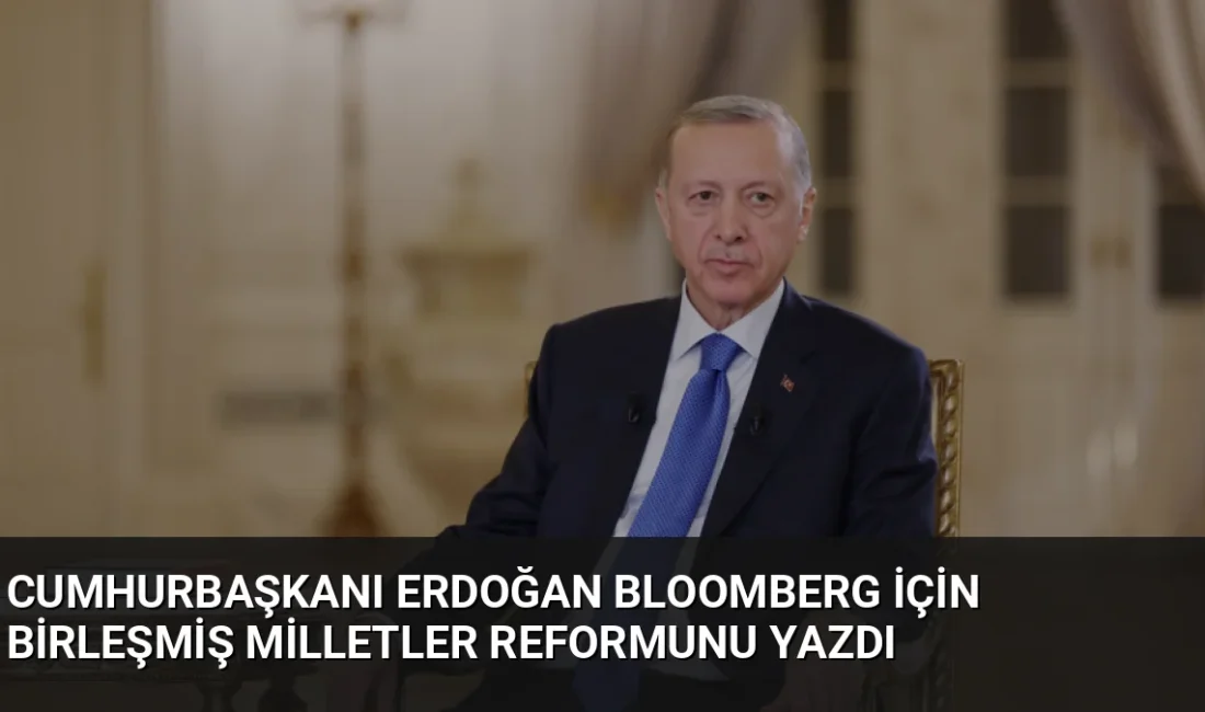 Cumhurbaşkanı Erdoğan, Bloomberg'deki makalesinde BM Güvenlik Konseyi'ndeki veto hakkının kaldırılması