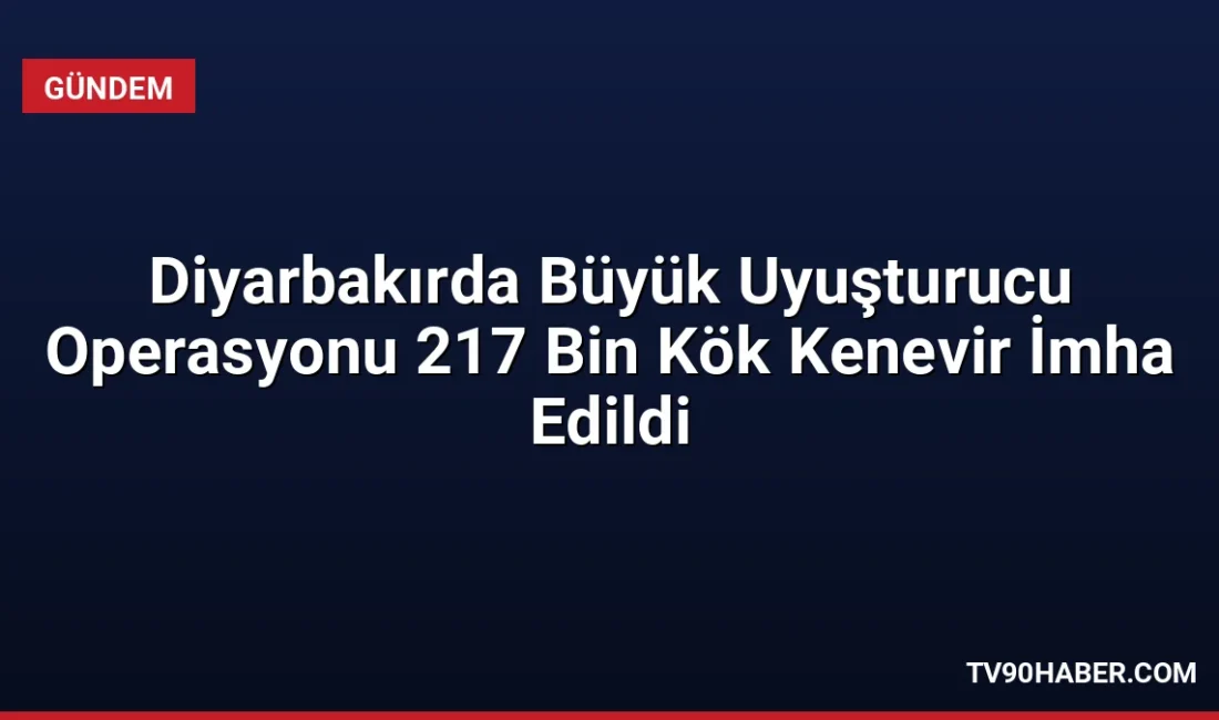 Diyarbakır'ın Lice ve Kulp ilçelerinde düzenlenen operasyonlarda 217 bin kök