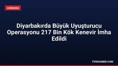 Diyarbakır'ın Lice ve Kulp ilçelerinde düzenlenen operasyonlarda 217 bin kök