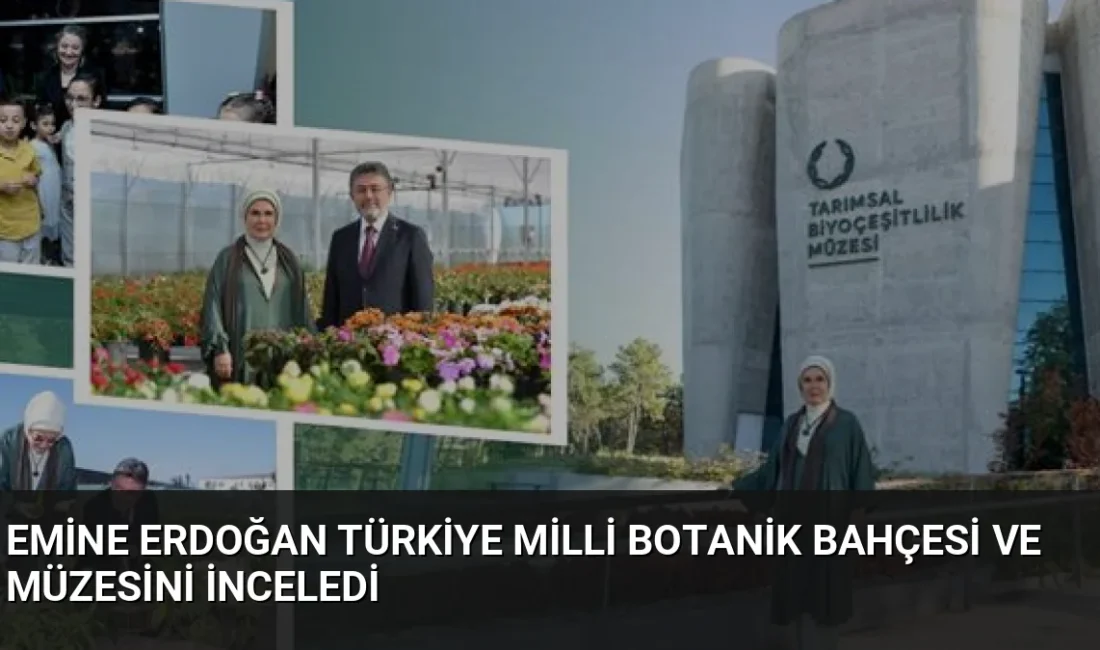 Emine Erdoğan, ata tohumlarının yetiştirildiği Mirasımız Yerel Tohum Bahçesi'nde hasat