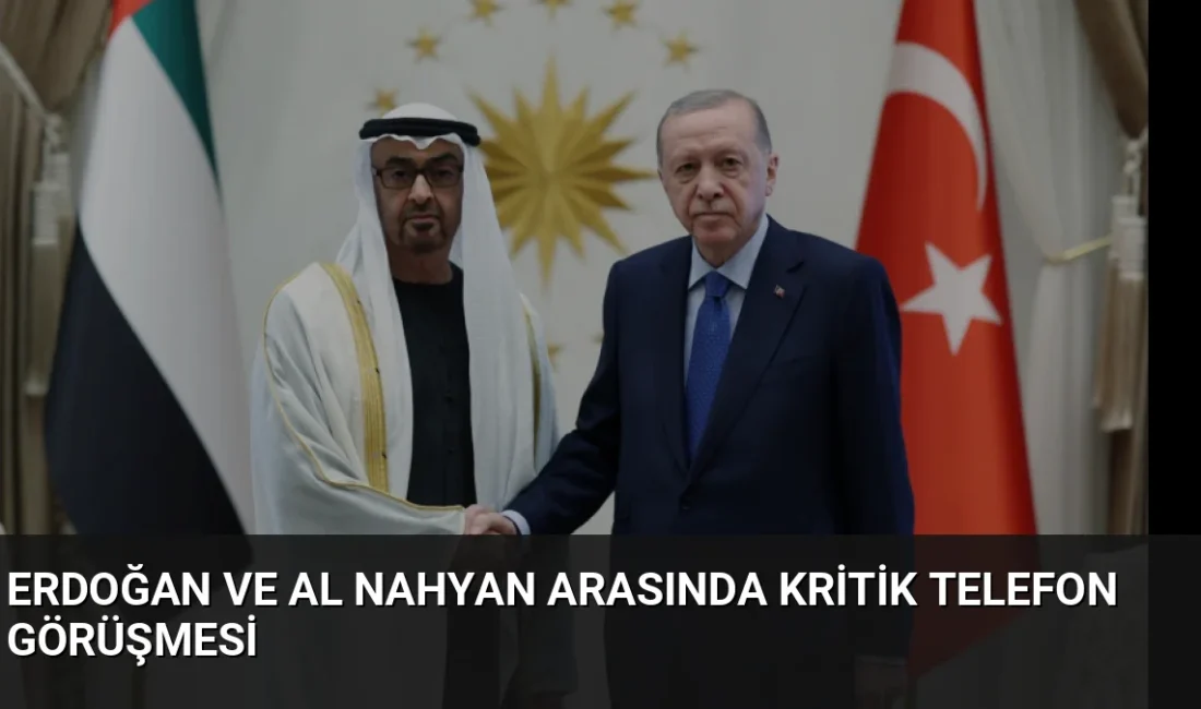 Cumhurbaşkanı Erdoğan, BAE Devlet Başkanı Al Nahyan ile görüştü. Görüşmede