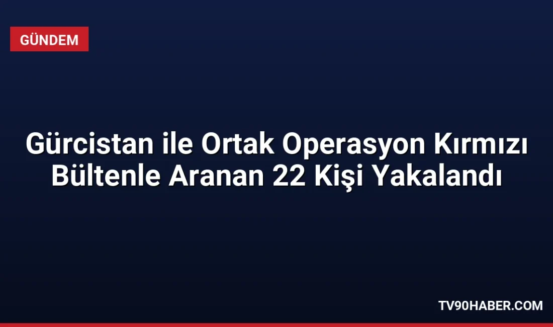 Türkiye ve Gürcistan'ın ortak operasyonuyla kırmızı bültenle aranan 22 şahıs