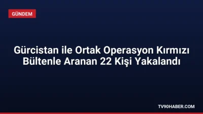 Türkiye ve Gürcistan'ın ortak operasyonuyla kırmızı bültenle aranan 22 şahıs