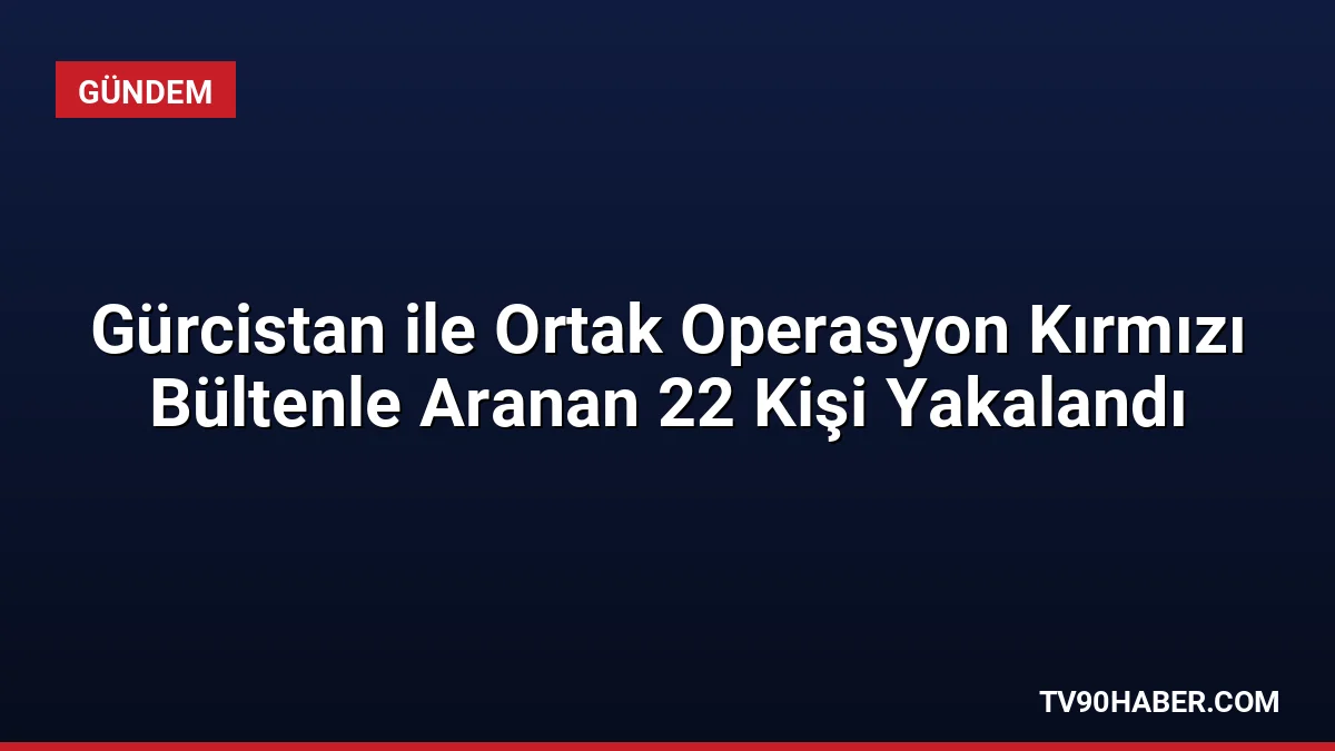 Türkiye ve Gürcistan'ın ortak operasyonuyla kırmızı bültenle aranan 22 şahıs