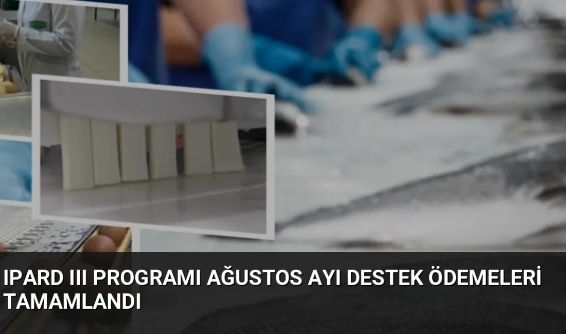 Tarım ve Orman Bakanlığı, IPARD-III Programı kapsamında ağustos ayında üretici